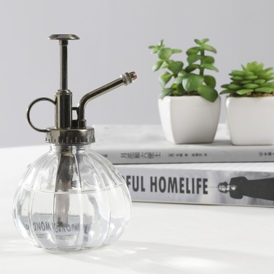 Vintage Style Clear Glass Bottle Sprayer, Decorative Plant Mister with Top Pump(Clear)   569963653